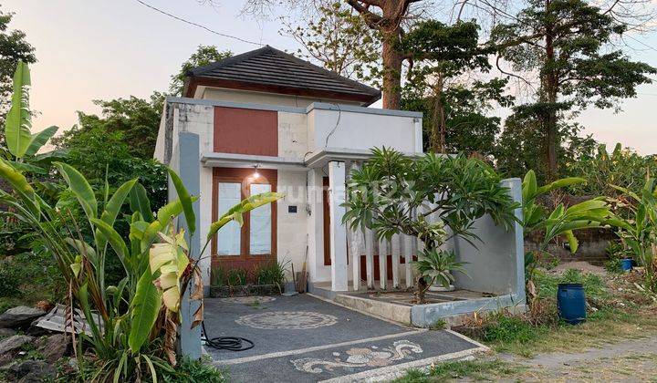 Dijual Rumah Murah Lantai 1 Siap Huni di Denpasar Barat 2
