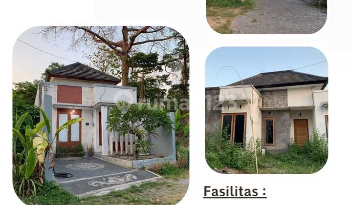 Siap Huni Rumah Lantai 1 Shm Dekat Jl Kebo Iwa Denpasar
