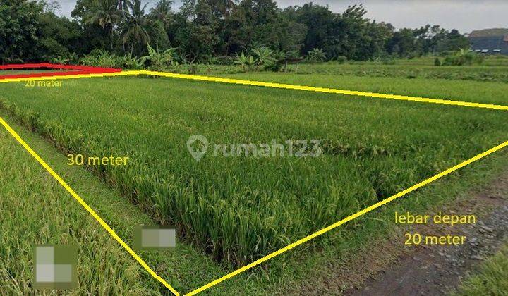 Tanah Sawah SHM Luas Lokasi Strategis di Kepitu, Trimulyo, Sleman, Diy 1