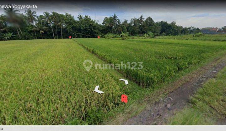 Tanah Sawah SHM Luas Lokasi Strategis di Kepitu, Trimulyo, Sleman, Diy 2