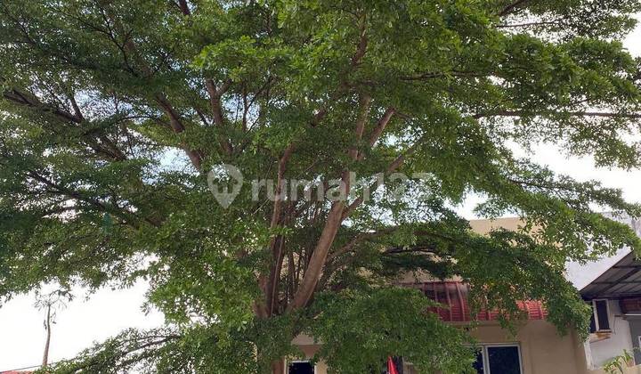 Di Jual Rumah Kharisma Residence Botania