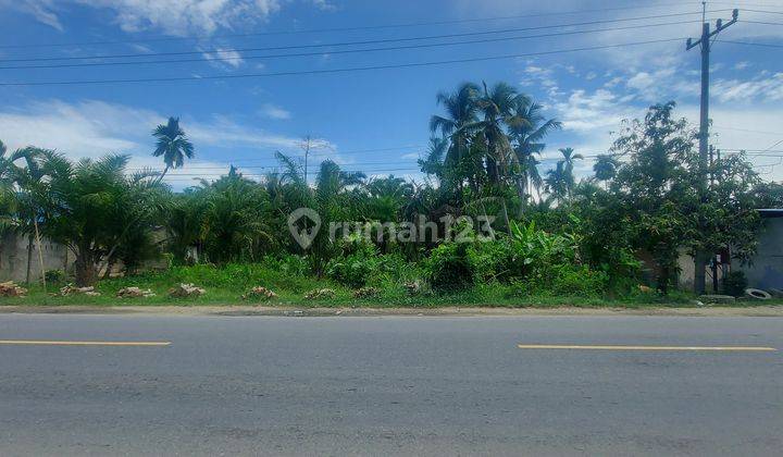 Dijual Sebidang Tanah Di Gebang (Desa Air Hitam) 1