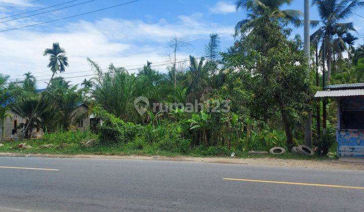 Dijual Sebidang Tanah Di Gebang (Desa Air Hitam) 2