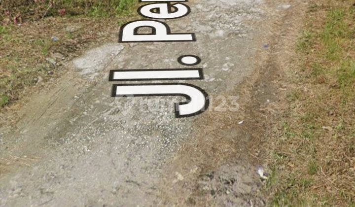 Tanah Murah Deket Pelabuhan Sungai Siak Tanah Murah Deket Pelabuhan Sungai Siak