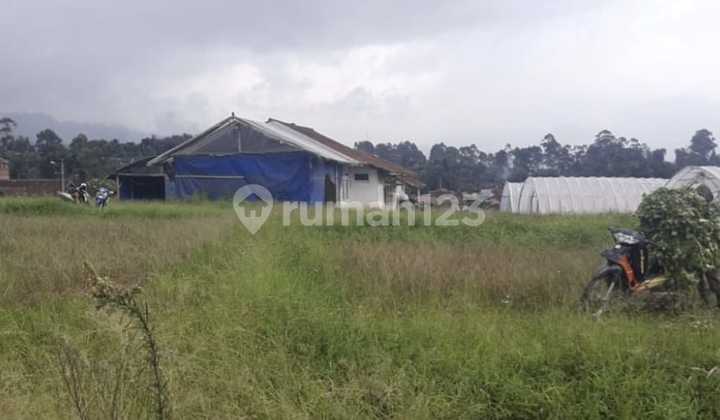 Tanah Luas 6474 M2 Babakan Pangajaran Ciwidey Kabupaten Bandung Tanah Luas 6474 M2 Babakan Pangajaran Ciwidey Kabupaten Bandung