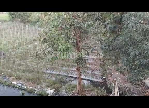 Dijual Tanah 1 Hektar Cocok Untuk Gudang Di Langensari Tarogong Kaler Garut Dijual Tanah 1 Hektar Cocok Untuk Gudang Di Langensari Tarogong Kaler Garut