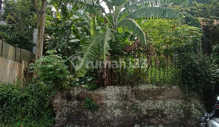 Dijual Tanah Murah Luas 166 m2 Cigadung Sayap Dago Bandung Dijual Tanah Murah Luas 166 m2 Cigadung Sayap Dago Bandung