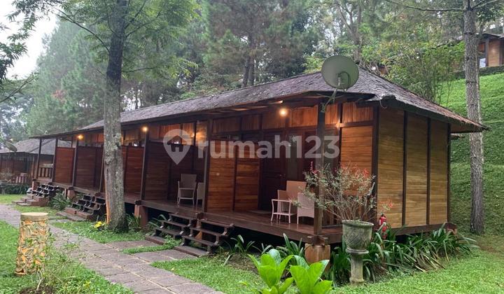 Affordable Villa Resort with 3.8 Hectares of Land Near Maribaya, Lembang, Bandung Affordable Villa Resort with 3.8 Hectares of Land Near Maribaya, Lembang, Bandung