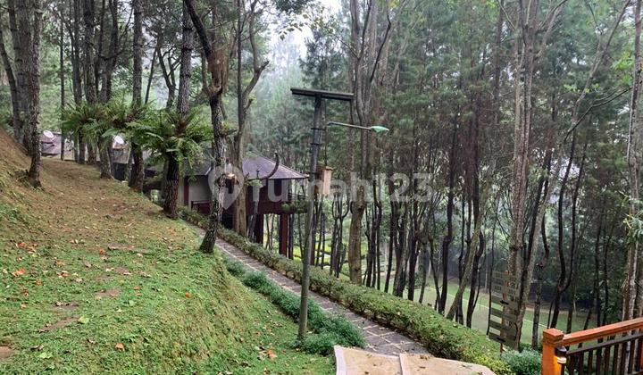 Affordable Resort and Restaurant on 3.8 Hectares Near Maribaya Lembang Bandung Affordable Resort and Restaurant on 3.8 Hectares Near Maribaya Lembang Bandung