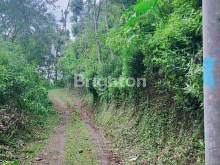 TANAH DI SUKASADA BULELENG 2