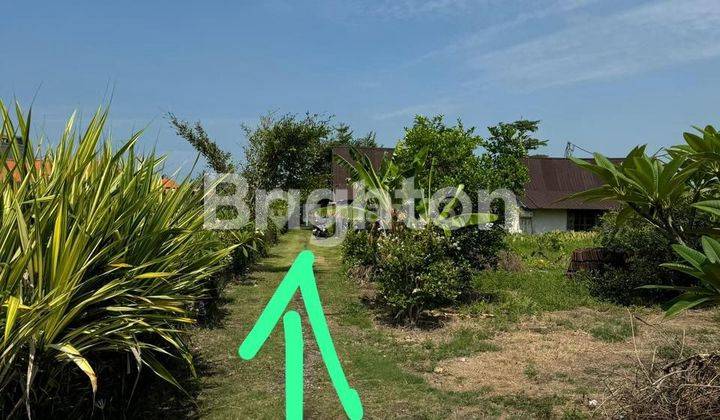 LAND FOR LEASE 31 ARA IN CEMAGI CANGGU 1