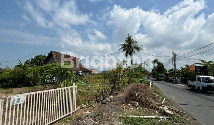 LAND FOR LEASE 31 ARA IN CEMAGI CANGGU 2