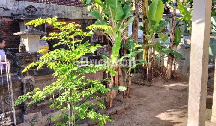 DIJUAL TANAH 2 ARE ZONA KUNING DI JALAN NUSAKAMBANGAN  1