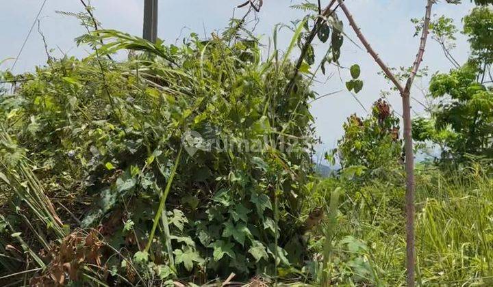 Tanah Pinggir Jalan Lokasi Strategis di Pamubulan, Bayah, Lebak, Banten 2