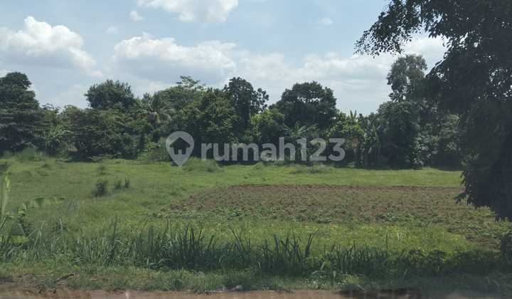 Land for Sale by the Roadside in Tangsel Land for Sale by the Roadside in Tangsel
