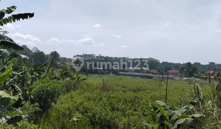 Disewakan Lahan 2,4ha Ciseeng