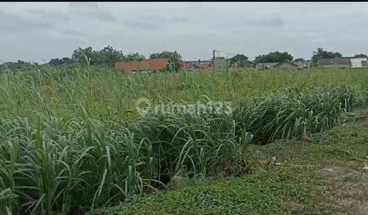 Dijual Tanah/kavling Dekat Bandara 1