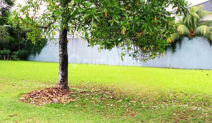 Kavling Premium Alam Sutera – Jarang Ada yang Jual!