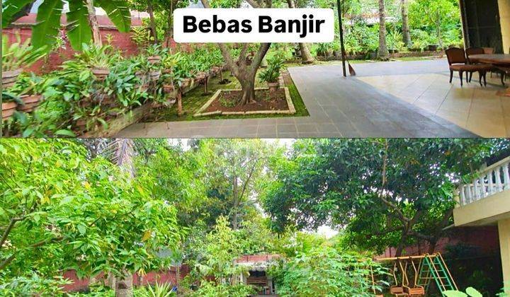 Dijual Tanah Shm 1.500m2  2