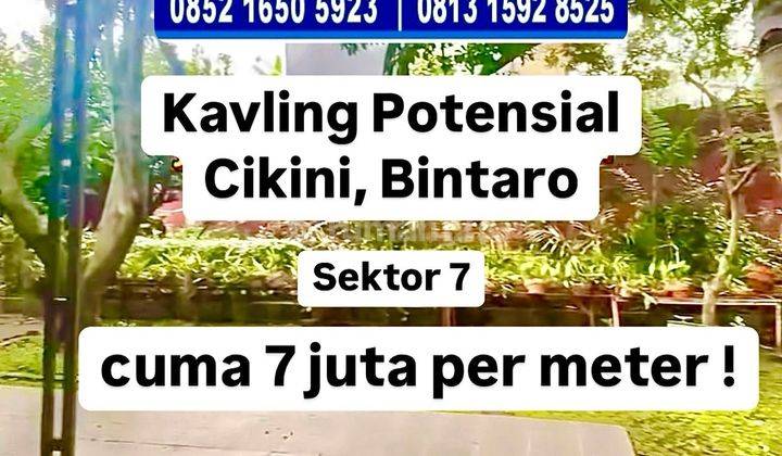 Dijual Tanah Cikini Bintaro Sektor 7 Murah Nego Tanah SHM di Bintaro 1200.0 m² 1