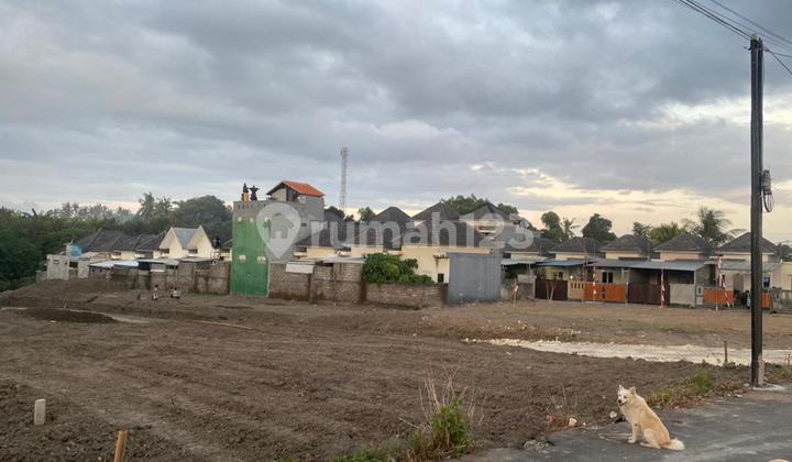 Tanah Kavling Murah Di Kota Gianyar! Tanah Kavling Murah Di Kota Gianyar!