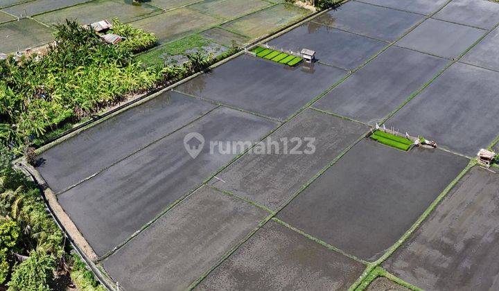 Land Plot For Sale Around Mount Soputan, West Denpasar 2