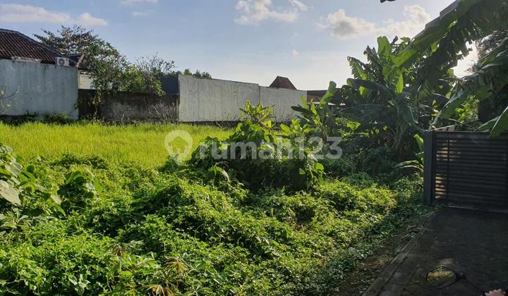 Leasehold Land Ready To Build In Canggu, 