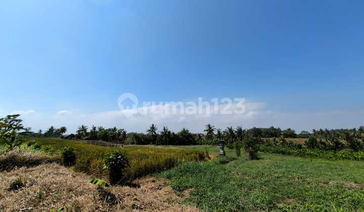 Tanah Kavling Ekslusive Harga Ekonomis View Sawah Di Jalan Pantai Yeh Gangga Gubug, Tabanan
