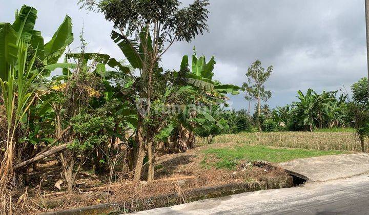 Dijual Tanah Kavling Di Daerah Ubud 2