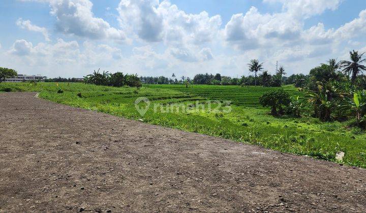 Dijual Tanah Kavling Di Daerah Kedungu, Tabanan 2