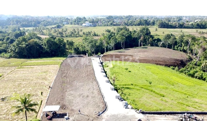 Vacant Land in an Exclusive Villa Complex, Rice Field View in Yeh Gangga, Bongan, Tabanan Near Canggu. Vacant Land in an Exclusive Villa Complex, Rice Field View in Yeh Gangga, Bongan, Tabanan Near Canggu.