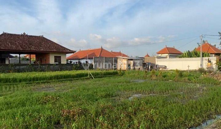 Dijual Tanah Kavling Di Cemagi, Canggu 2