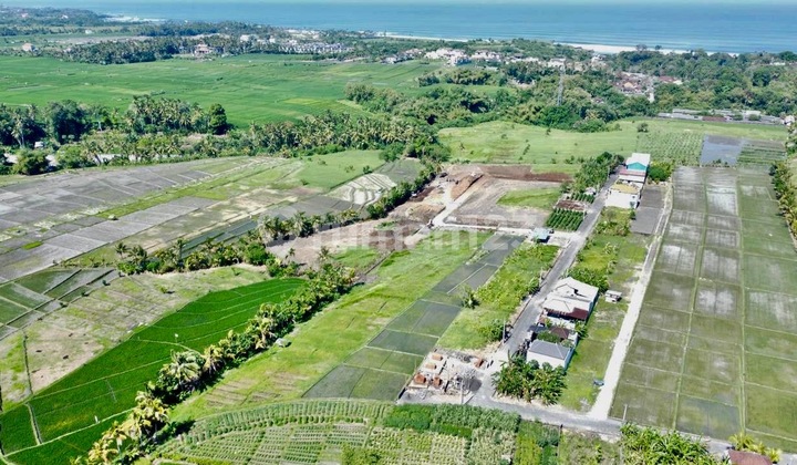 Tanah Kavling Ekslusive Harga Ekonomis View Sawah Di Jalan Pantai Yeh Gangga Gubug, Tabanan Tanah Kavling Ekslusive Harga Ekonomis View Sawah Di Jalan Pantai Yeh Gangga Gubug, Tabanan