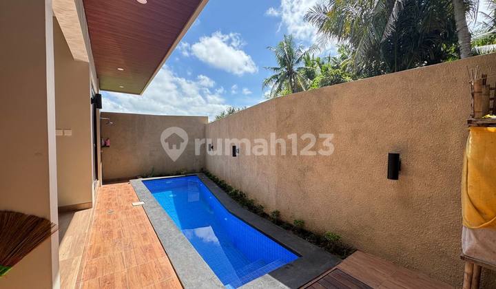 Villa Baru Dengan Pemandangan Sawah Dekat Taman Bali, Gianyar Villa Baru Dengan Pemandangan Sawah Dekat Taman Bali, Gianyar
