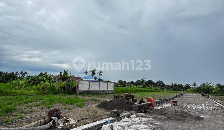 Tanah Kavling Murah View Sawah Di Pering