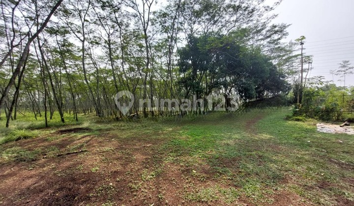 For Sale Land 2,500 M2 SHM Golf Suvarna Sutera Cikupa Tangerang Ready for Housing