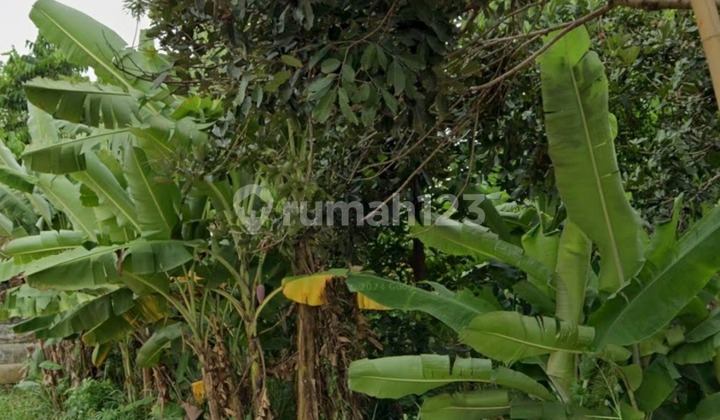 Dijual Cepat (BU) Tanah Strategis Siap Dibangun Area Tajur Halang Bogor 