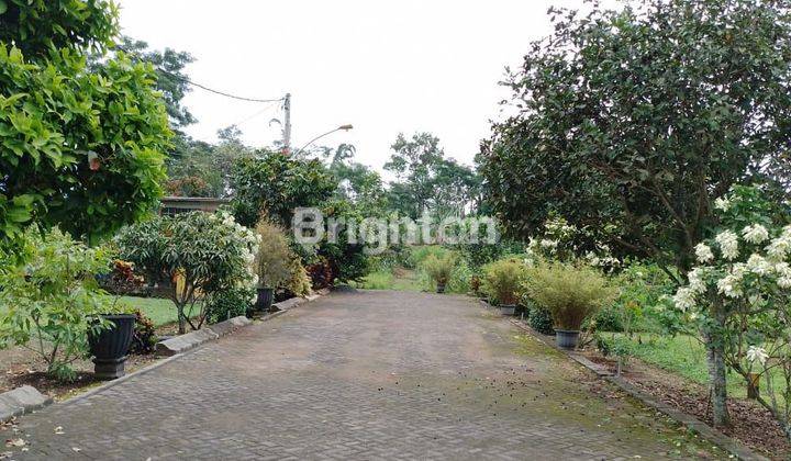 Tanah 5000 m2 Luas Cocok Buat Perumahan atau Villa di Lawang dekat Kebun Teh 1