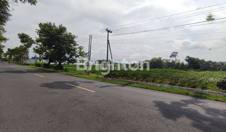 Tanah Luas Komersil Di Jalan Poros Wlingi - Malang 1