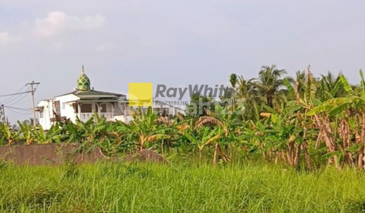 Dijual tanah kavling murah  2