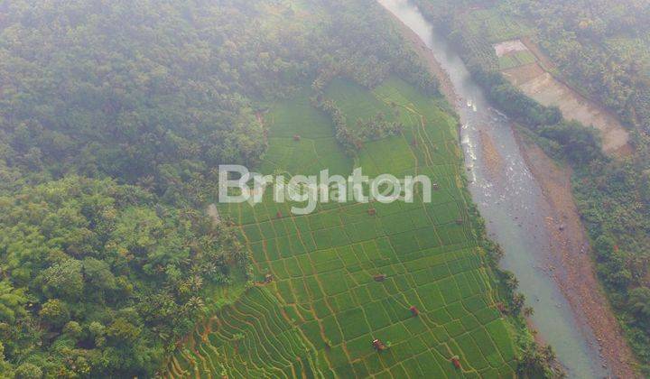 JUAL SAWAH BU DI CIAMIS 2