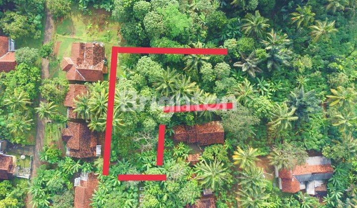 Tanah KEBUN DI CIAMIS bagus untuk perkenunan tanah subur 1