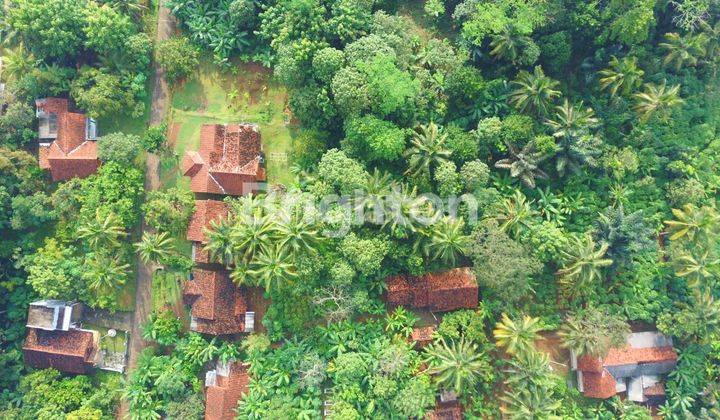 Tanah KEBUN DI CIAMIS bagus untuk perkenunan tanah subur 2