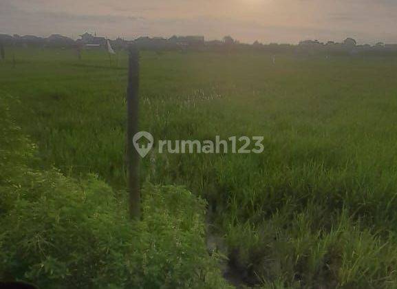 TANAH JALAN KUNTI VIEW SAWAH SEMINYAK BALI 1