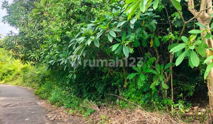 Tanah Premium Kawasan Via Taman Kebo Iwa Benoa Kuta Selatan Bali