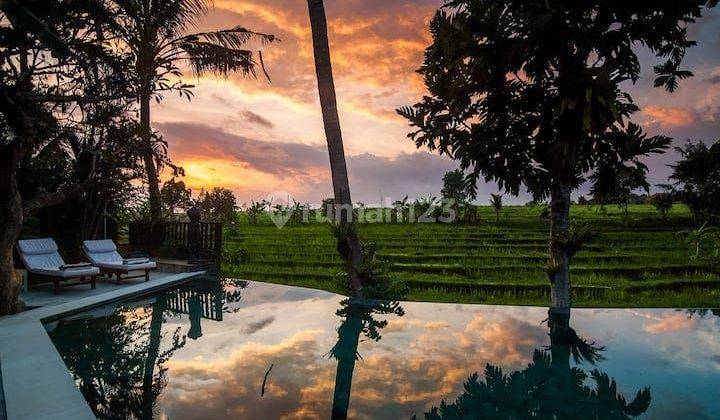 Villa Dekat Pantai Brawa View Sawah Canggu Bali 1