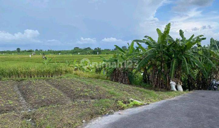 TANAH PREMIUM TUMBAK BAYUH CANGGU BALI 2