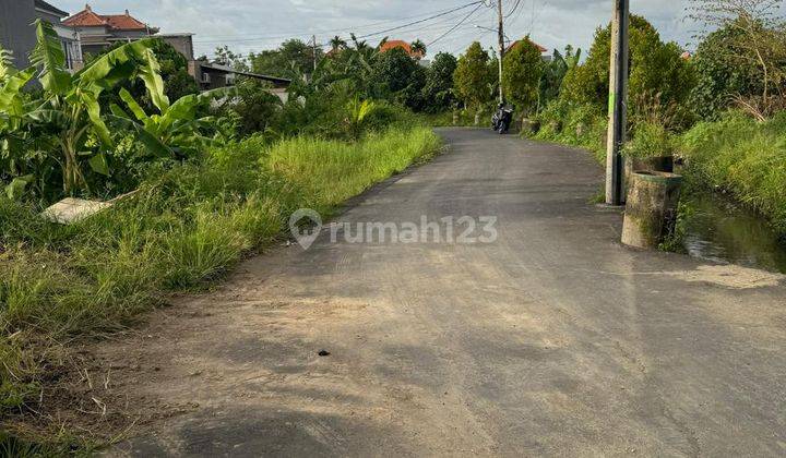 Tanah Sedap Malam Denpasar Timur Bali 2