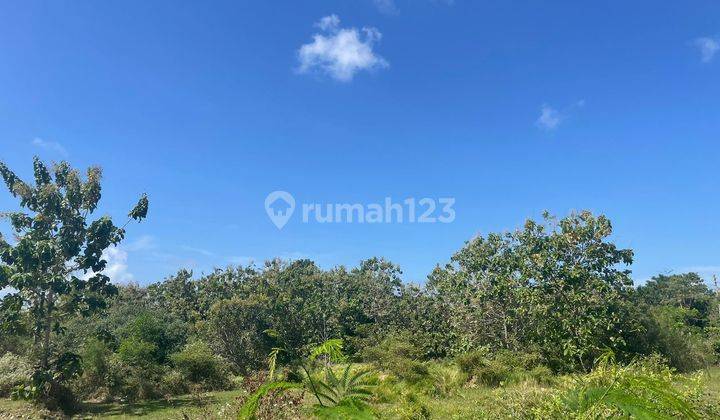 LAND IN THE VILLA TOHYANING UNGASAN SOUTH KUTA BALI 1