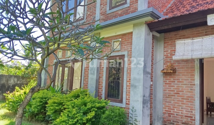 Rumah Halaman Luas Batursari Sanur Bali Rumah Halaman Luas Batursari Sanur Bali